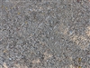 Mojave Gold Decomposed Granite 3/8" Minus - DG Near Me