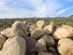 Desert Gold Large rock Boulders 24" - 30"