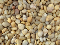 Gold Polished Pebbles 1/2"- 1" 50 Lb Bag