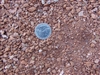 Jesse Red Rock Decomposed Granite 1/4" Minus Per Ton