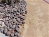 Arizona River Rock Cobbles 3" to 6" Per Yard - Gravel Near Me