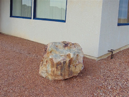 Mohave Gold Boulders 2 to 3 feet