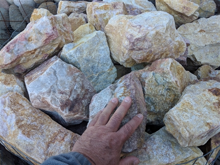 Palm Springs Gold Landscape Boulders Specimen