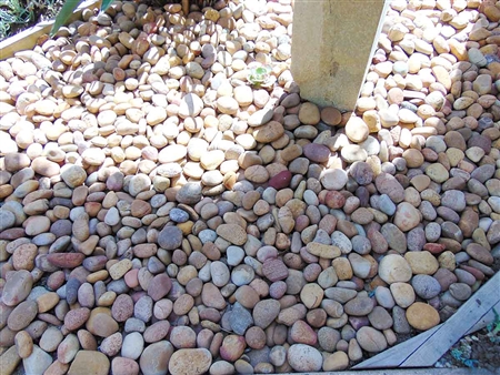 1" - 2" Beach Pebbles Baja Sunburst