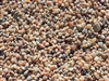 Salmon Bay Pebbles 1/4"