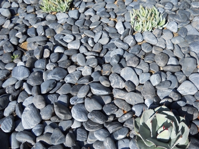 Black Mexican Beach Pebbles La Paz 1/2" - 1"