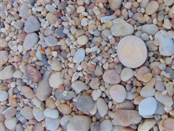 Salmon Bay Pebbles 1/4" - 1/2"