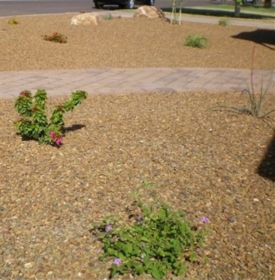 Cinnamon Brown Gravel 3/4" Per Ton