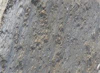 Idaho Quartzite Flagstone Silver 3/4" to 1-1/4"
