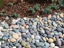 Mixed Colors Mexican Beach Pebble 1" - 2"