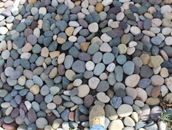 Mixed Colors Mexican Beach Pebble 1" - 2"