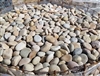 Buff Mexican Beach Pebble 1"- 2" Bulk