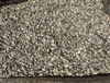 Del Rio Decorative Pebbles 3/4â€³ - Beach Pebbles