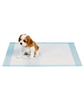 Dog Puppy 17x24 PEE Pet Pad Training Pads