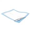 Attends Care Night Preserver Underpad 36 X 36 Inch Disposable Polymer Heavy Absorbency, UFPP-366 - Pack of 5
