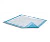 Attends Care Dri-Sorb Underpad 30 X 30 Inch Disposable Cellulose / Polymer Light Absorbency, UFS-300 - Case of 150