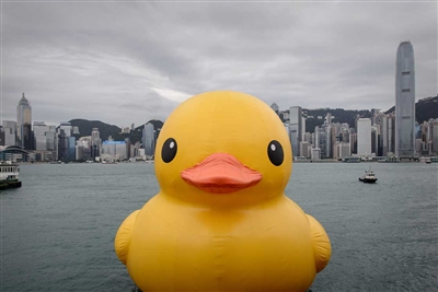 Big Yellow Duck