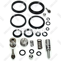 20280 PUMP REPAIR KIT