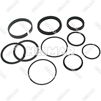 556486 PACKING CYLINDER KIT