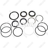 2026822 POWER STEERING O/H KIT