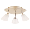 Globe Aspen Collection 3-Light Track Lighting Canopy, Brushed Steel