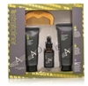 Stratoliner by Aubusson 4-Piece Grooming Advanced Beard Kit for Men