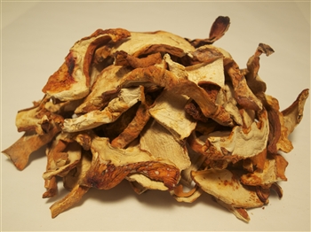 Dried Lobster - Hypomyces Lactifluorum