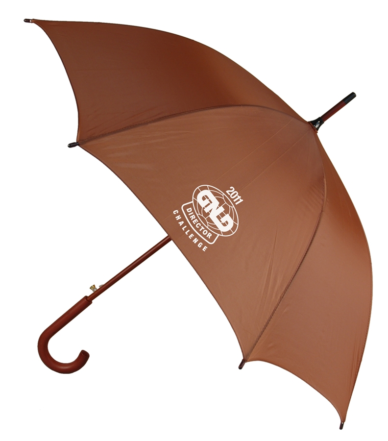 B1346 - The 48 Auto Open Umbrella with Hook Handle