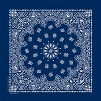 NAVY PAISLEY BANDANA