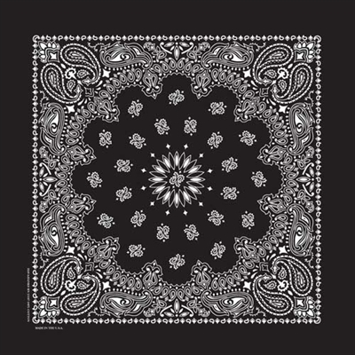 Black Paisley Bandana