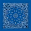 Royal Paisley Bandana