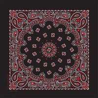 BLACK & RED PAISLEY BANDANA