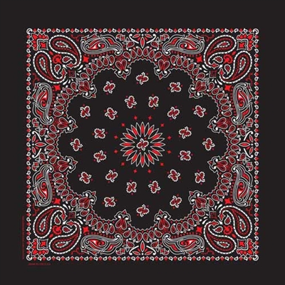 BLACK & RED PAISLEY BANDANA