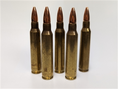 5pk - .223 / 5.56 Dummy Ammo