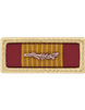 Vietnam Cross of Gallantry with Palm Army Unit Citation (Ribbon and Frame)