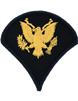 Army Dress Chevron Gold on Blue E-4 Specialist (Pair)