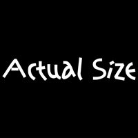 Actual Size Amazon