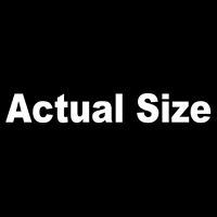 Actual Size - Arial