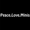 Peace.Love.Minis Hobo