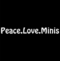 Peace.Love.Minis Hobo