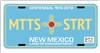 MTTS 2024 STATE LICENSE PLATE DECALS