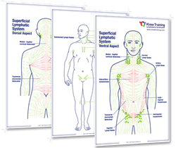 <span style="font-weight: bold;"><span style="text-decoration: underline; color: rgb(0, 89, 156);">Lymphatic System Posters (set of three)</span></span>