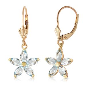 ALARRI 2.8 Carat 14K Solid Gold Calypso Aquamarine Earrings