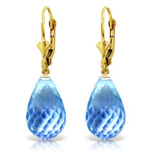 ALARRI 28 CTW 14K Solid Gold Loveliness Blue Topaz Earrings