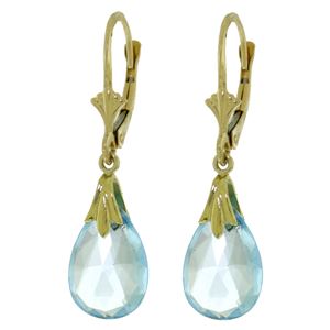 ALARRI 6 Carat 14K Solid Gold Sanctuary Blue Topaz Earrings