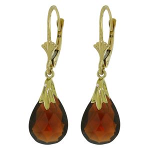 ALARRI 6 Carat 14K Solid Gold Performance Garnet Earrings