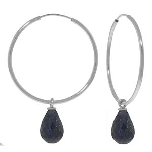 ALARRI 6.6 CTW 14K Solid White Gold Shadow Of A Dream Sapphire Earrings