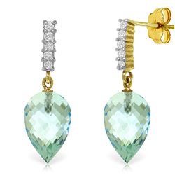 ALARRI 22.65 Carat 14K Solid Gold True Character Blue Topaz Earrings