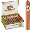 Macanudo Cafe Hyde Park