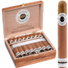 ASHTON CLASSIC DOUBLE MAGNUM